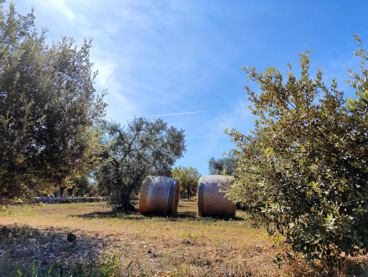 Come Una Volta - Il Trullo Альберобелло Экстерьер фото